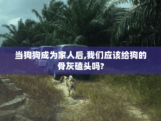 当狗狗成为家人后,我们应该给狗的骨灰磕头吗?
