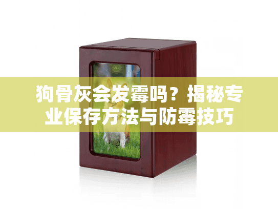 狗骨灰会发霉吗？揭秘专业保存方法与防霉技巧