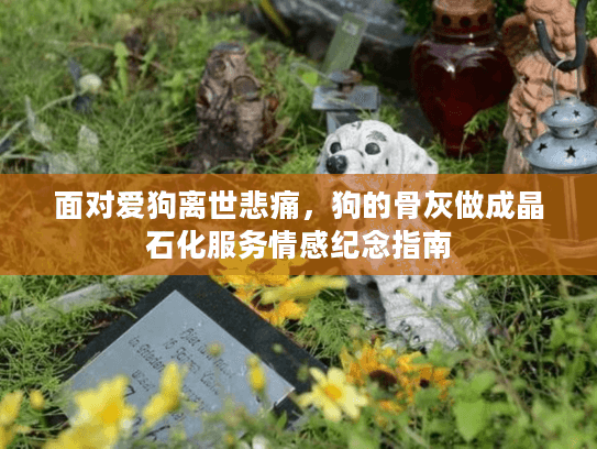 面对爱狗离世悲痛，狗的骨灰做成晶石化服务情感纪念指南