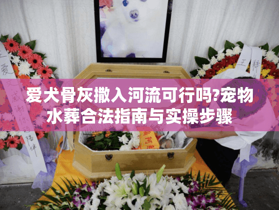 爱犬骨灰撒入河流可行吗?宠物水葬合法指南与实操步骤