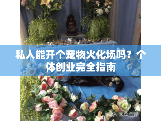 私人能开个宠物火化场吗？个体创业完全指南
