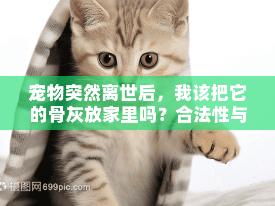 宠物突然离世后，我该把它的骨灰放家里吗？合法性与情感抉择指南