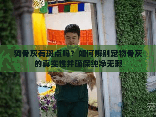 狗骨灰有斑点吗？如何辨别宠物骨灰的真实性并确保纯净无瑕