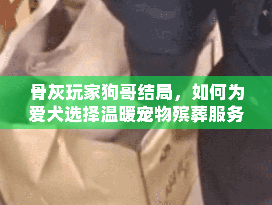 骨灰玩家狗哥结局，如何为爱犬选择温暖宠物殡葬服务？