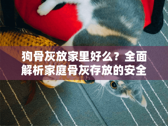 狗骨灰放家里好么？全面解析家庭骨灰存放的安全与情感平衡指南