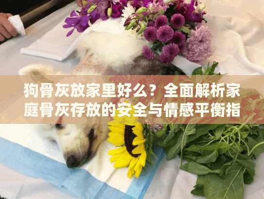 狗骨灰放家里好么？全面解析家庭骨灰存放的安全与情感平衡指南