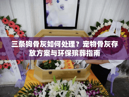 三条狗骨灰如何处理？宠物骨灰存放方案与环保殡葬指南