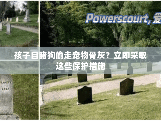 孩子目睹狗偷走宠物骨灰？立即采取这些保护措施