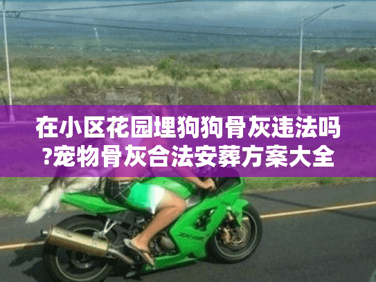 在小区花园埋狗狗骨灰违法吗?宠物骨灰合法安葬方案大全