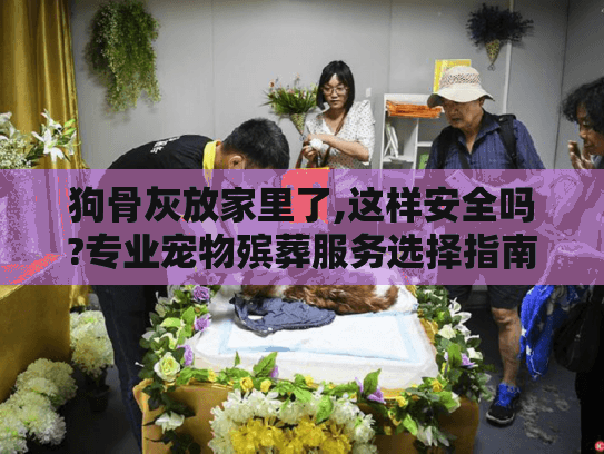 狗骨灰放家里了,这样安全吗?专业宠物殡葬服务选择指南