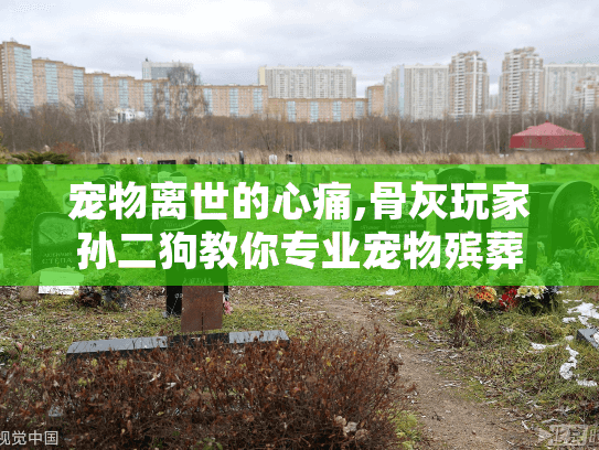宠物离世的心痛,骨灰玩家孙二狗教你专业宠物殡葬服务选择