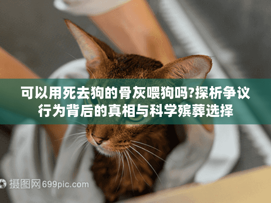 可以用死去狗的骨灰喂狗吗?探析争议行为背后的真相与科学殡葬选择