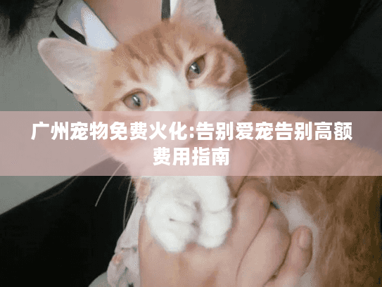 广州宠物免费火化:告别爱宠告别高额费用指南