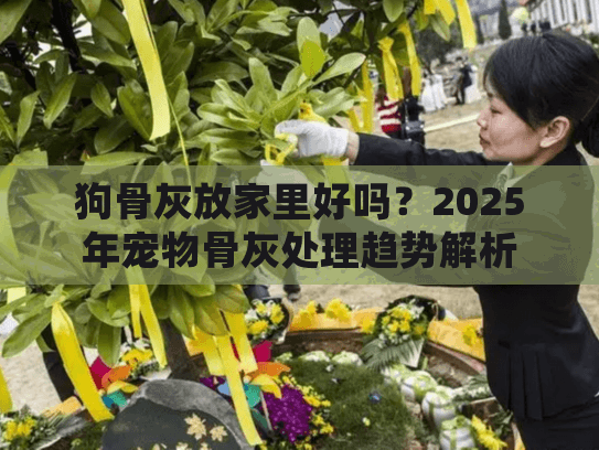 狗骨灰放家里好吗？2025年宠物骨灰处理趋势解析