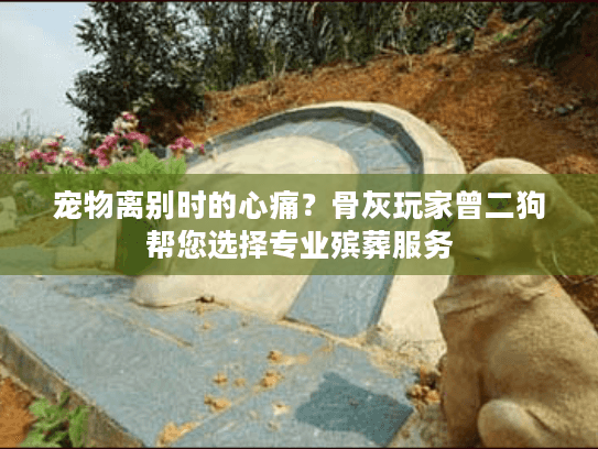 宠物离别时的心痛？骨灰玩家曾二狗帮您选择专业殡葬服务