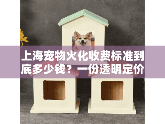 上海宠物火化收费标准到底多少钱？一份透明定价与避坑指南