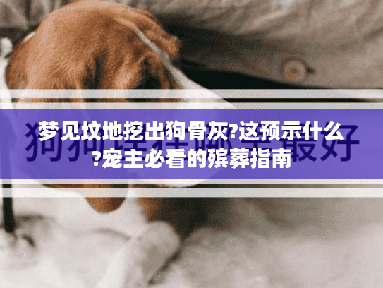 梦见坟地挖出狗骨灰?这预示什么?宠主必看的殡葬指南