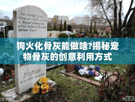 狗火化骨灰能做啥?揭秘宠物骨灰的创意利用方式 狗火化骨灰能做啥?揭秘宠物骨灰的创意利用方式