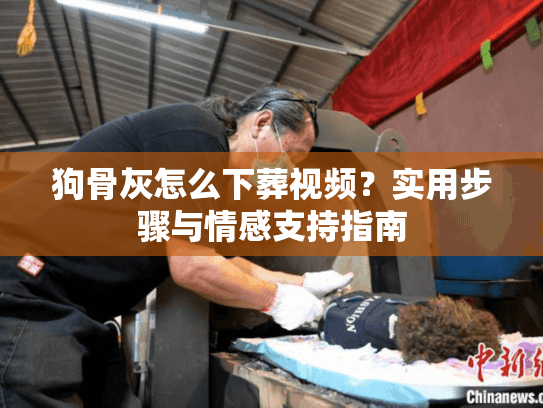 狗骨灰怎么下葬视频？实用步骤与情感支持指南