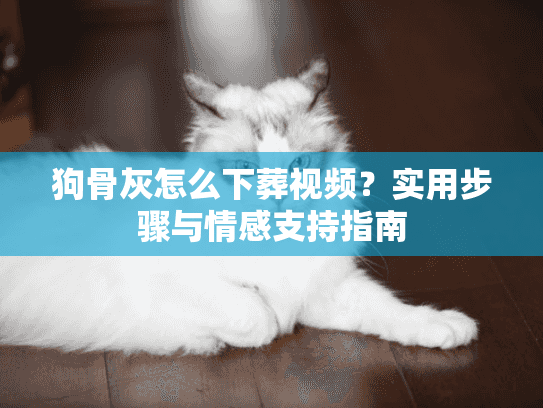 狗骨灰怎么下葬视频？实用步骤与情感支持指南