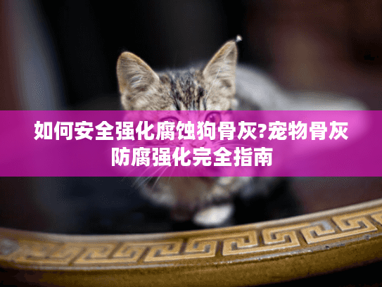 如何安全强化腐蚀狗骨灰?宠物骨灰防腐强化完全指南