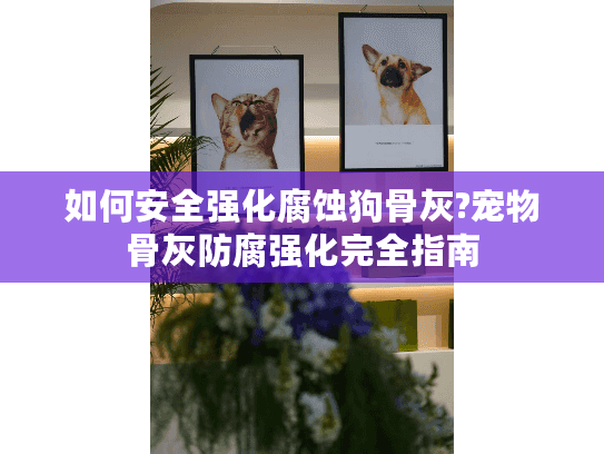 如何安全强化腐蚀狗骨灰?宠物骨灰防腐强化完全指南