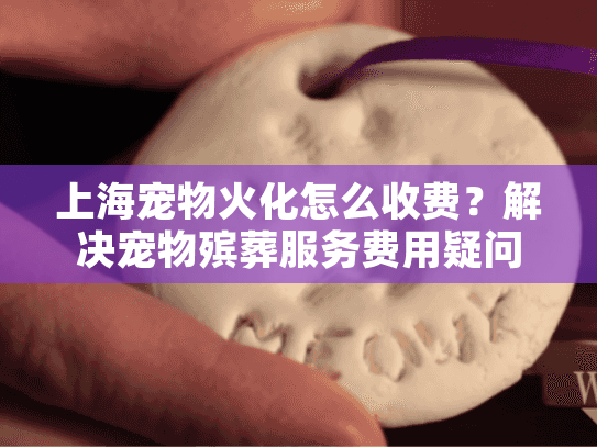 上海宠物火化怎么收费？解决宠物殡葬服务费用疑问的实用指南