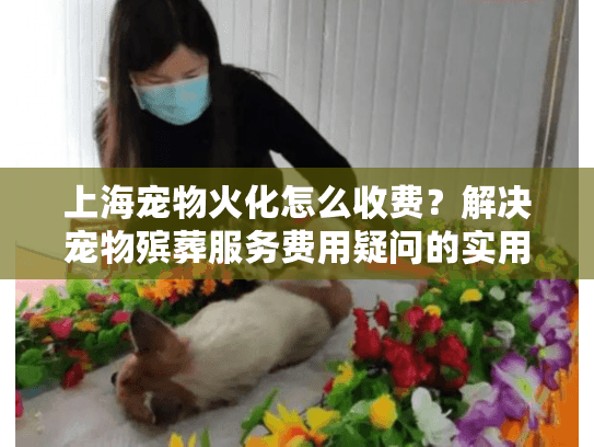 上海宠物火化怎么收费？解决宠物殡葬服务费用疑问的实用指南
