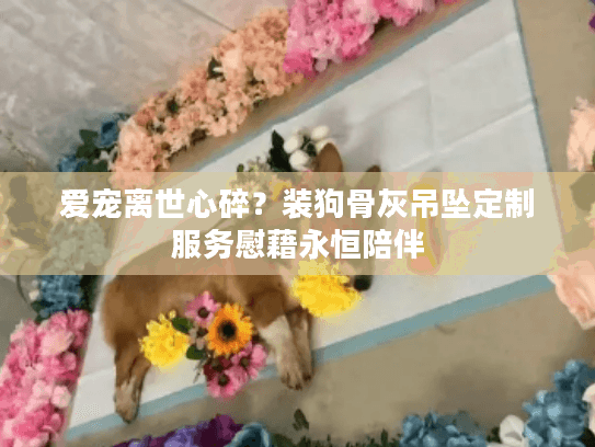 爱宠离世心碎？装狗骨灰吊坠定制服务慰藉永恒陪伴