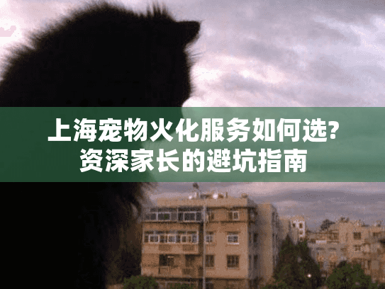 上海宠物火化服务如何选?资深家长的避坑指南