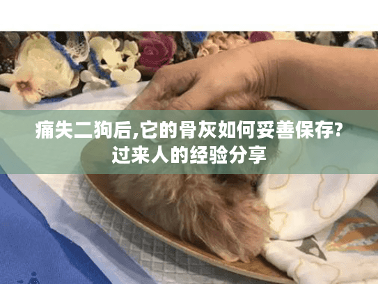 痛失二狗后,它的骨灰如何妥善保存?过来人的经验分享