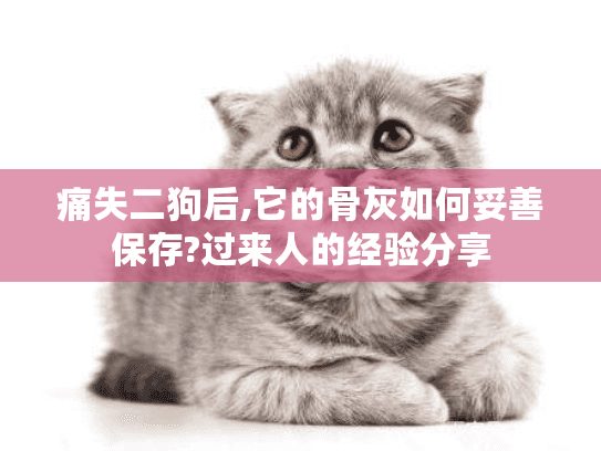 痛失二狗后,它的骨灰如何妥善保存?过来人的经验分享