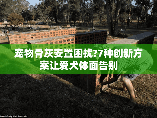 宠物骨灰安置困扰?7种创新方案让爱犬体面告别
