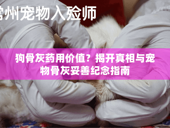 狗骨灰药用价值?揭开真相与宠物骨灰妥善纪念指南 狗骨灰药用价值?揭开真相与宠物骨灰妥善纪念指南