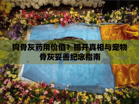 狗骨灰药用价值?揭开真相与宠物骨灰妥善纪念指南 狗骨灰药用价值?揭开真相与宠物骨灰妥善纪念指南