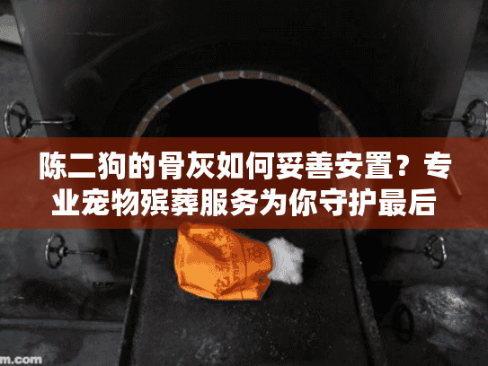 陈二狗的骨灰如何妥善安置？专业宠物殡葬服务为你守护最后的告别