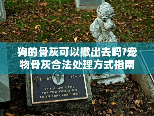 狗的骨灰可以撒出去吗?宠物骨灰合法处理方式指南 狗的骨灰可以撒出去吗?宠物骨灰合法处理方式指南