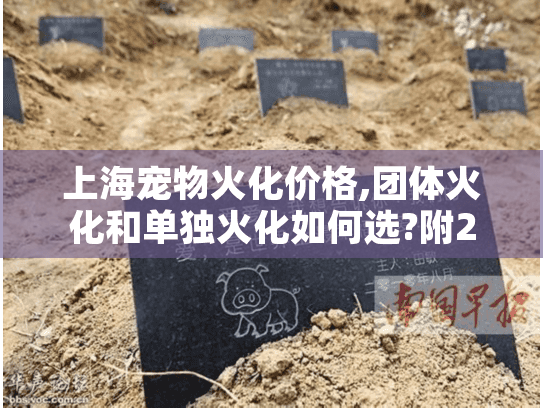 上海宠物火化价格,团体火化和单独火化如何选?附2025年最新报价