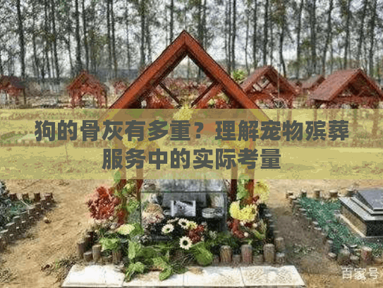 狗的骨灰有多重？理解宠物殡葬服务中的实际考量