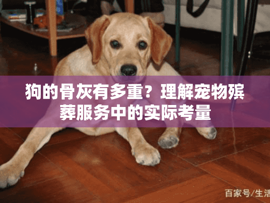 狗的骨灰有多重？理解宠物殡葬服务中的实际考量