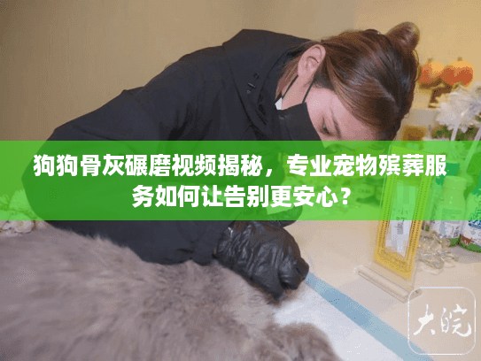 狗狗骨灰碾磨视频揭秘，专业宠物殡葬服务如何让告别更安心？
