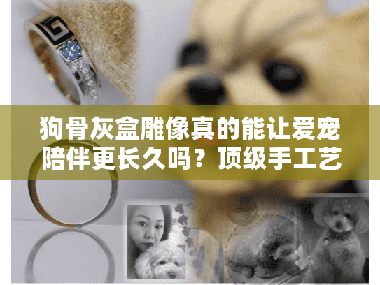 狗骨灰盒雕像真的能让爱宠陪伴更长久吗？顶级手工艺解析