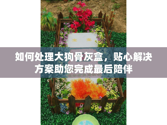 如何处理大狗骨灰盒，贴心解决方案助您完成最后陪伴