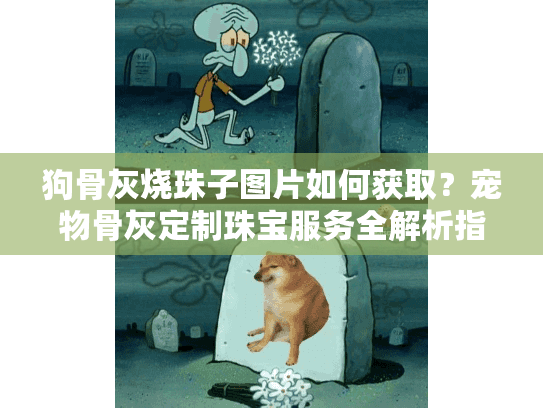 狗骨灰烧珠子图片如何获取？宠物骨灰定制珠宝服务全解析指南