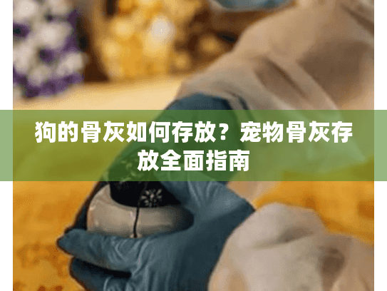 狗的骨灰如何存放？宠物骨灰存放全面指南