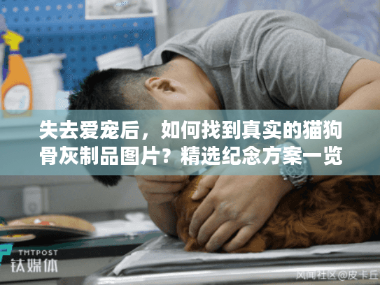 失去爱宠后，如何找到真实的猫狗骨灰制品图片？精选纪念方案一览