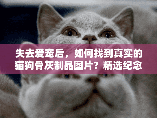 失去爱宠后，如何找到真实的猫狗骨灰制品图片？精选纪念方案一览