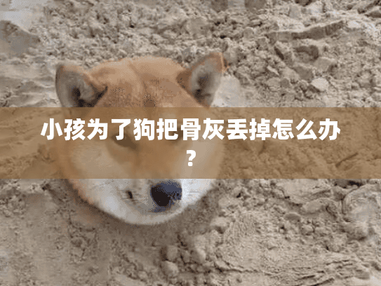 小孩为了狗把骨灰丢掉怎么办?