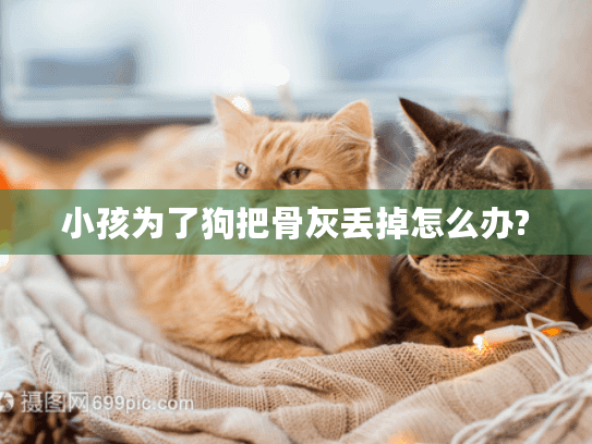 小孩为了狗把骨灰丢掉怎么办?