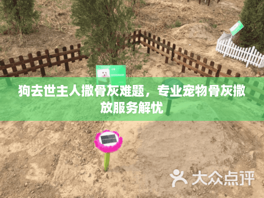狗去世主人撒骨灰难题，专业宠物骨灰撒放服务解忧